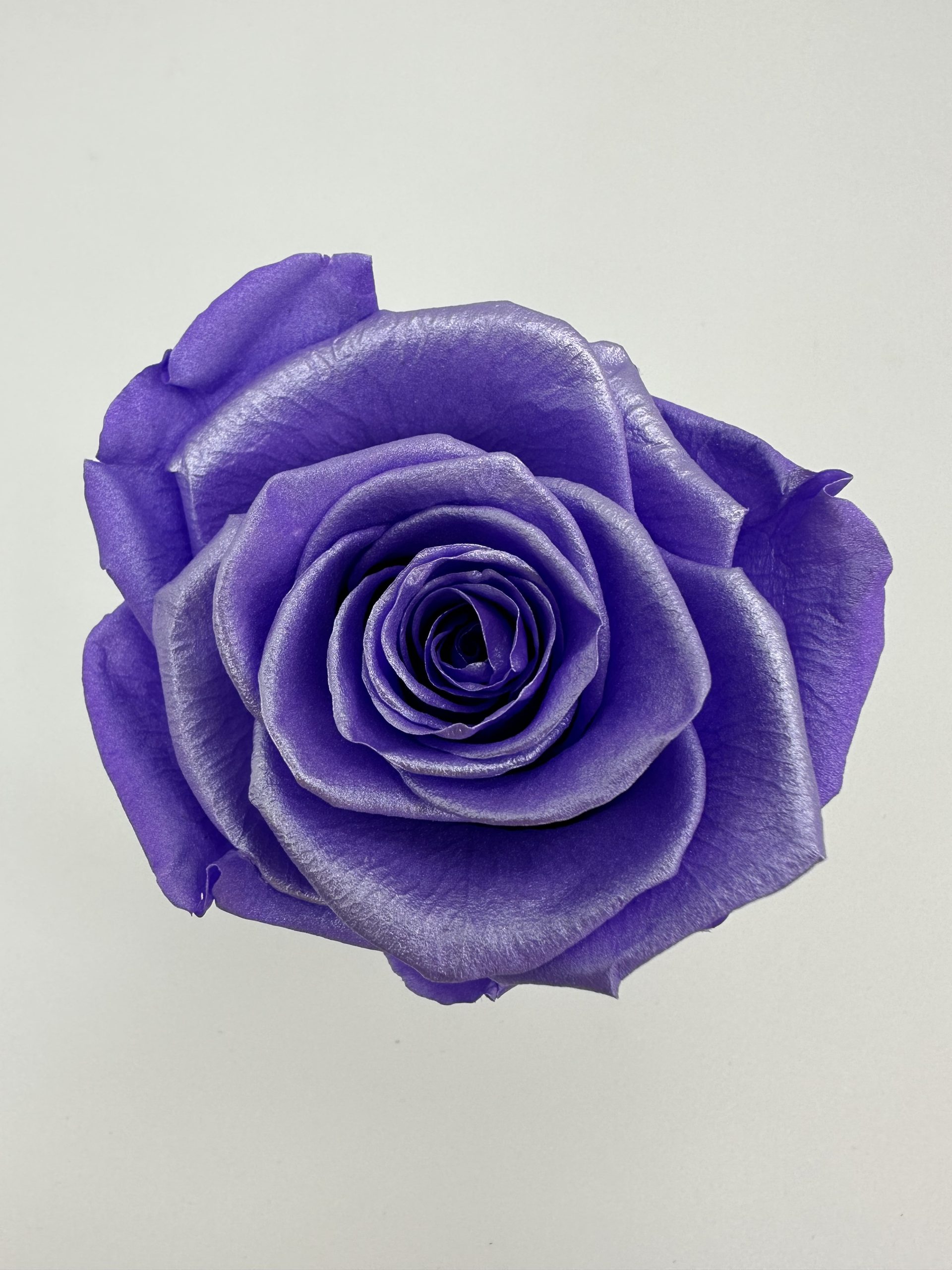 product_00c95f6513ef1a1a34aa653aba53df6e