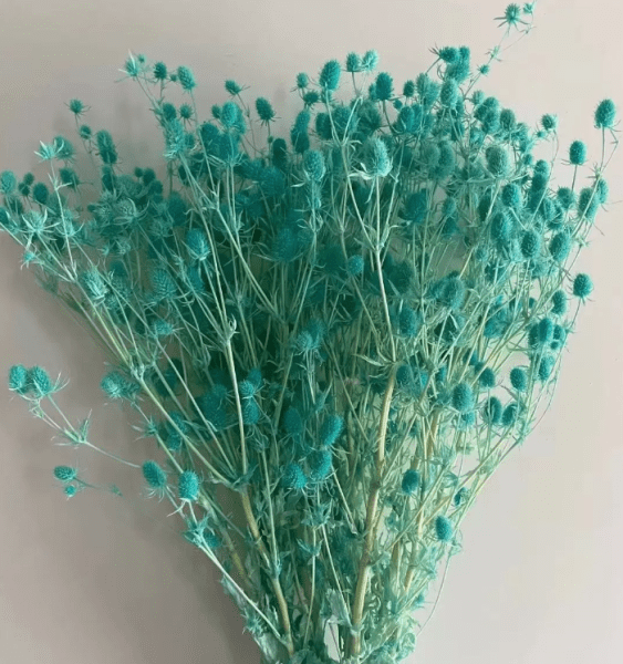 product_028c51868bc52425f6e241e41bbd3f29