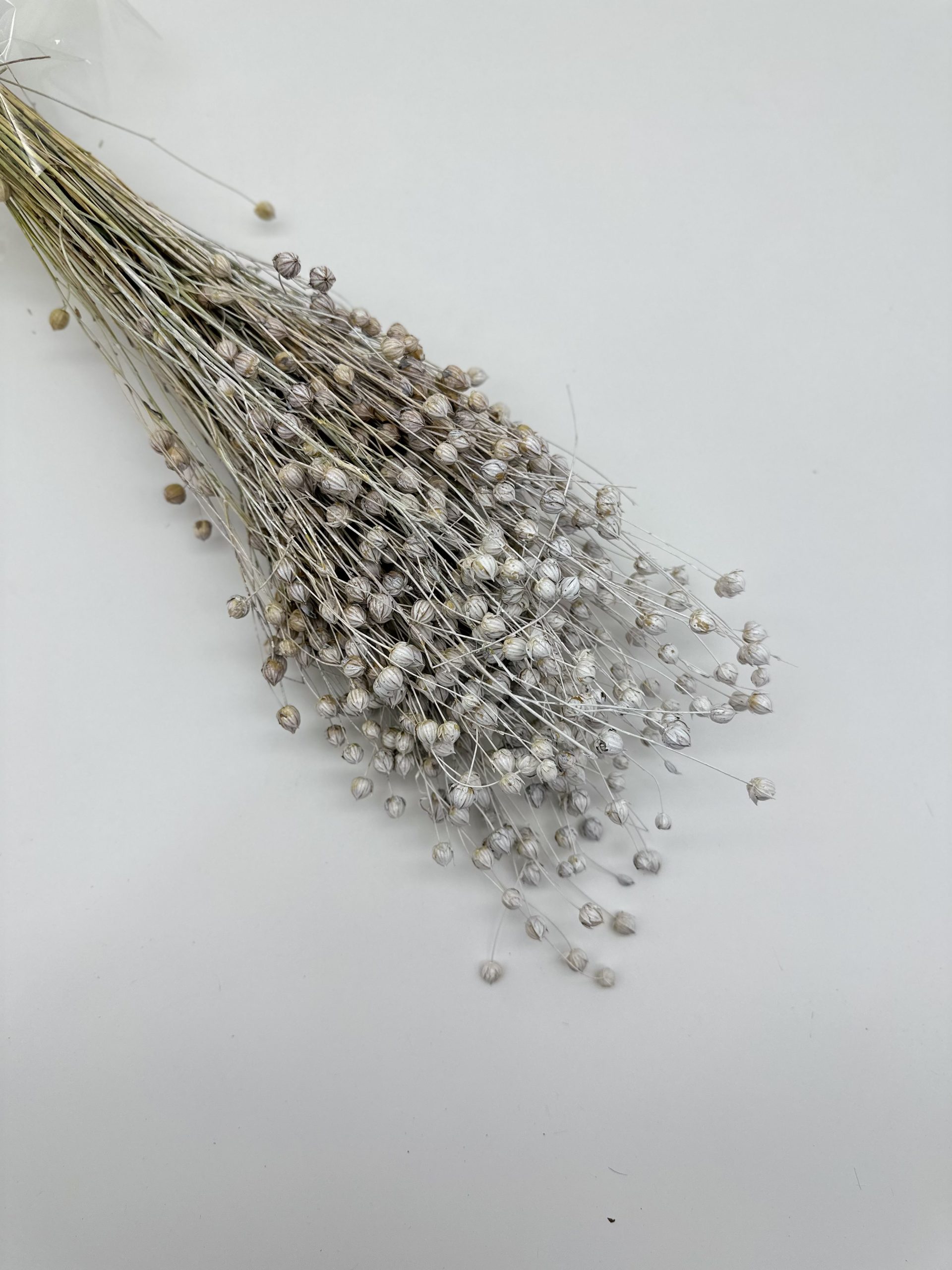 product_044fb5a2e2d5bc7e91f1a64dfb3e8b45