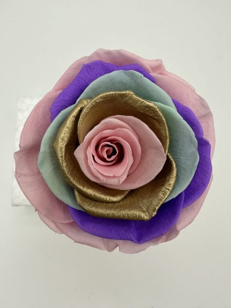 product_070b3328901a33b041e2b63515fbc05b