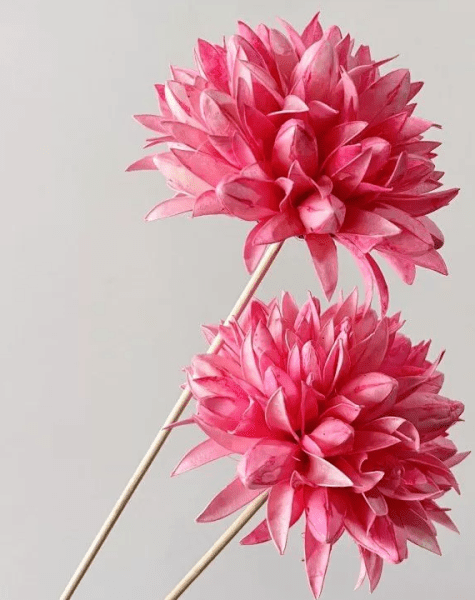 product_09dc4ef86a483940c5bff050a43af505