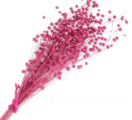 product_0d7395d5622754bf80005aecc389ff22