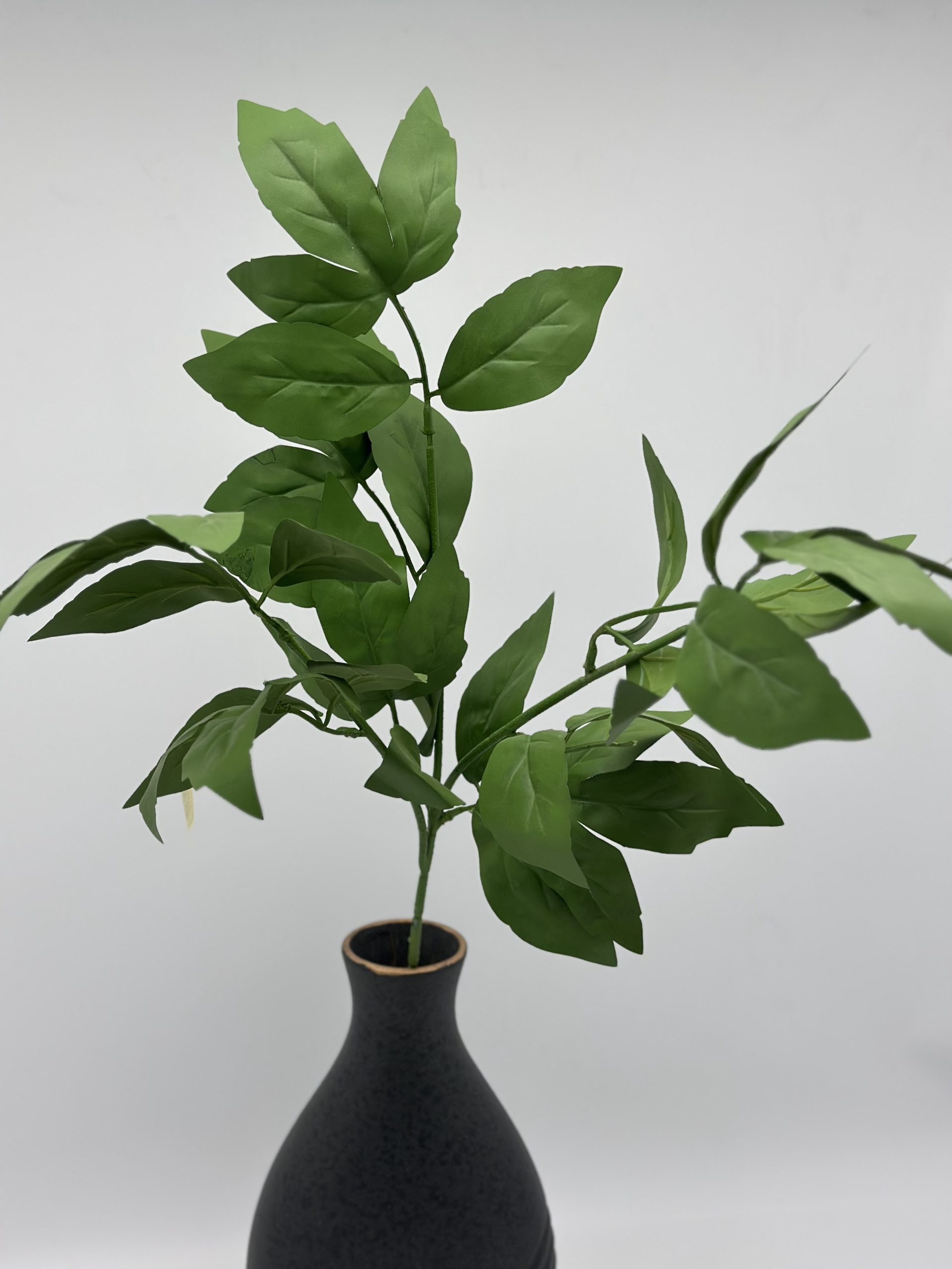 product_101d4300c851bef1f5bb5bb870ce25b5