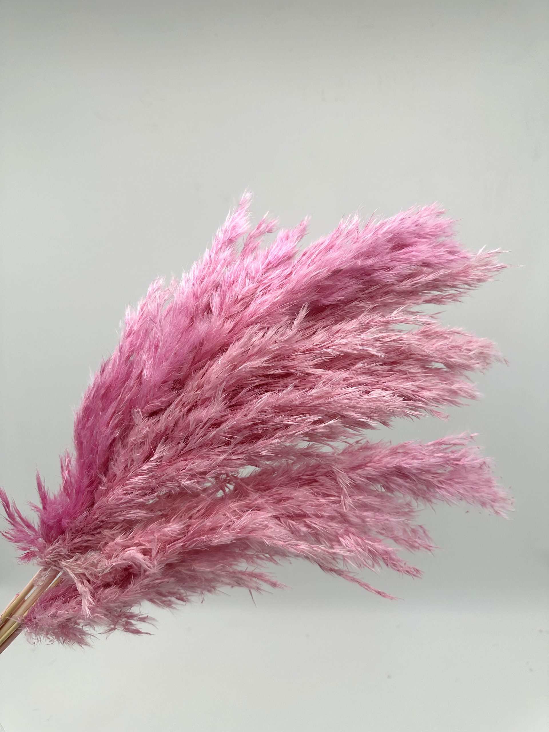 product_149df17b4aca084977f191baaeb80980