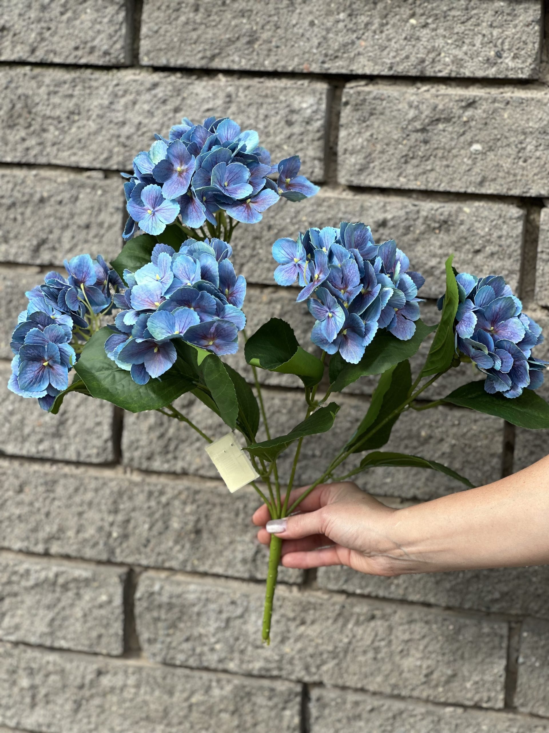 product_15be5c7b14c9144c1ba754e83e8fee26