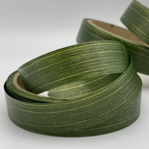 Лента Аспидистра 2см*10м хаки 03