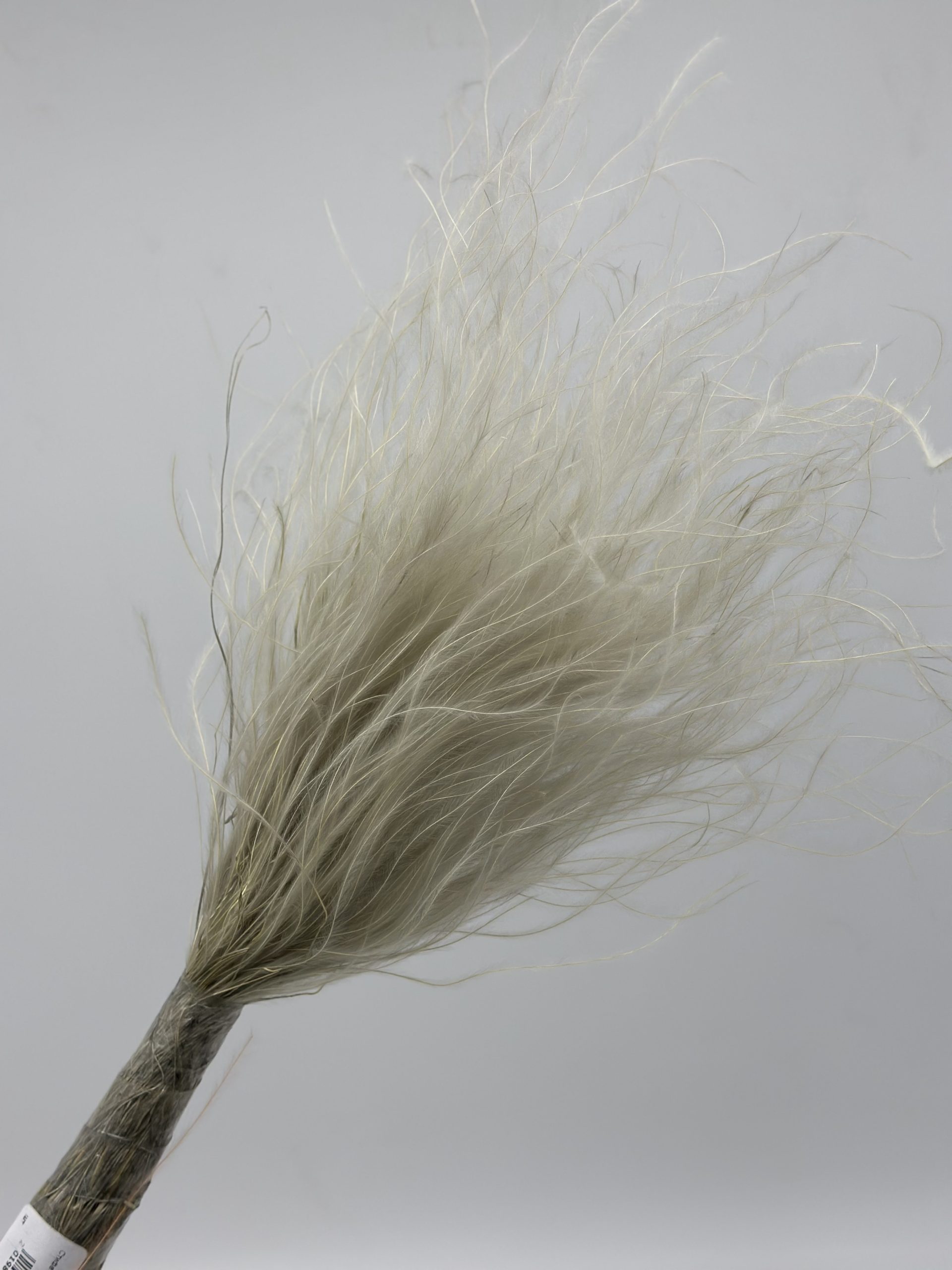 product_1c26e9495ce2b664fdba4e7d3f91eade