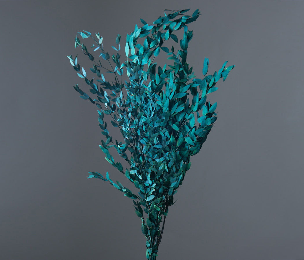 product_1e33490351ec1d16afceff944842b387