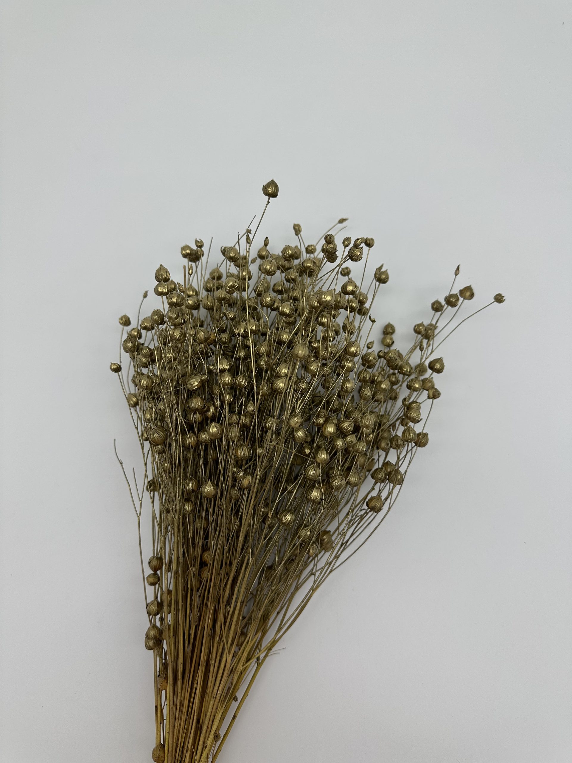 product_20912a4b4e05f4c3d5a1dfbde7c92aea