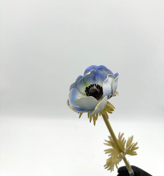 product_2405675ccd230bc9360a5edc686593dc