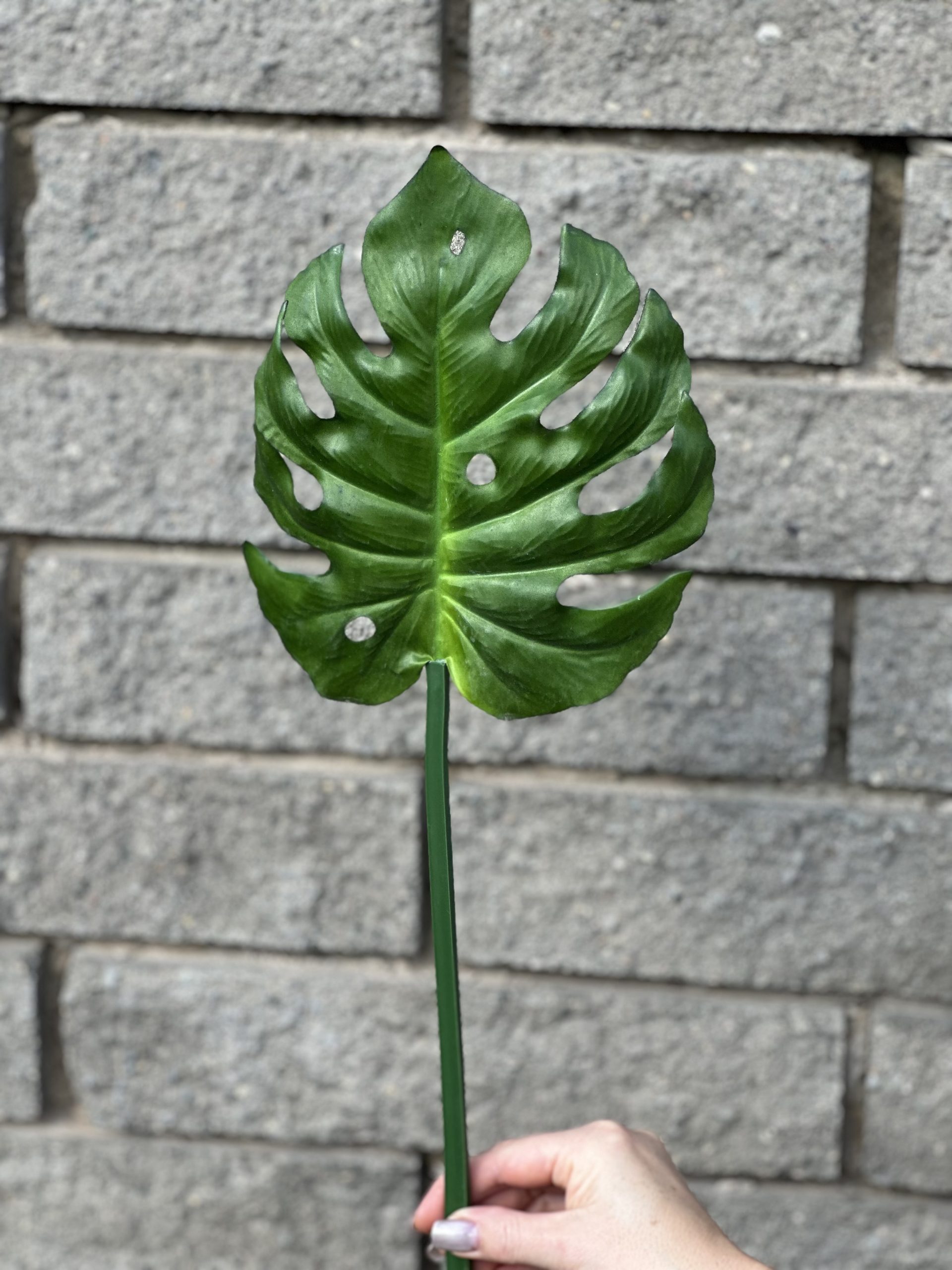 product_2409a763bb5f7de9f16256714ec2bf5e