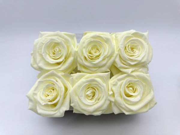 product_24f733eb1520c1d34ff5662d7af27672