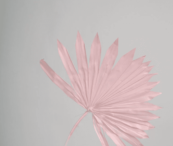 product_2513a5a1a3261a8fa8c6437549e2599b