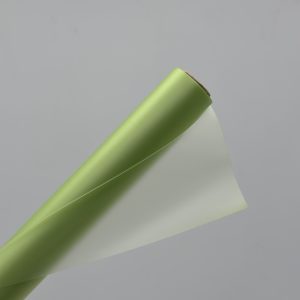 Пленка полуматовая 60см*10м, светло-зеленый 1311