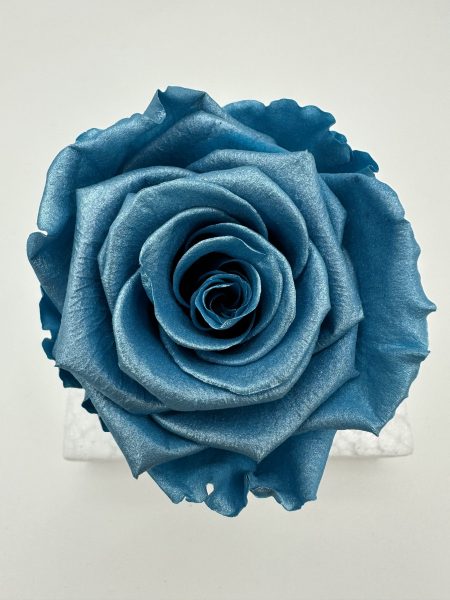 product_2a420954257b1d1eec76095009f4f81a