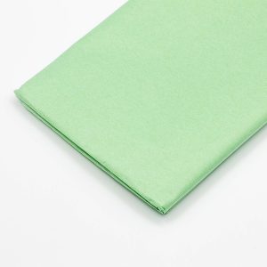 Бумага тишью 50х66см,10 лист. мятный