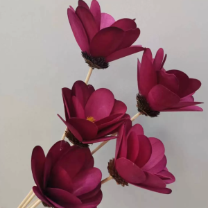 Каталог цветов 7 Каталог цветов