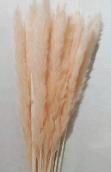 product_3338fab2bfa131417674ecc820e39a3a