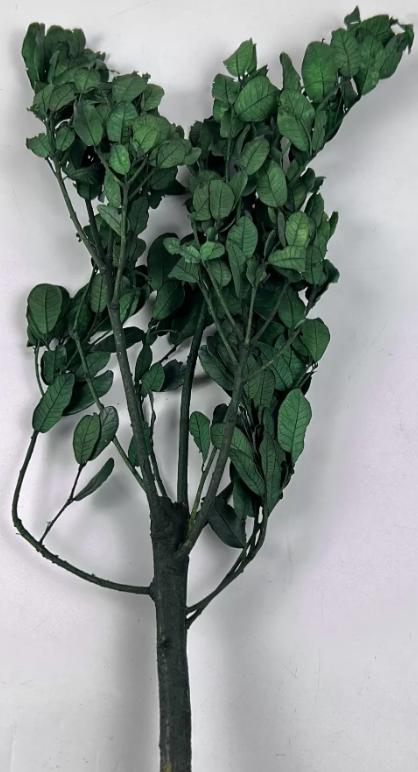 product_33759fe48707e16ba6936c0d76e24f3f