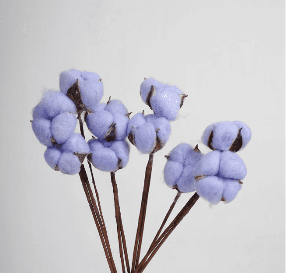 product_34cee5ac92ce8ffd6839039d59ec8392