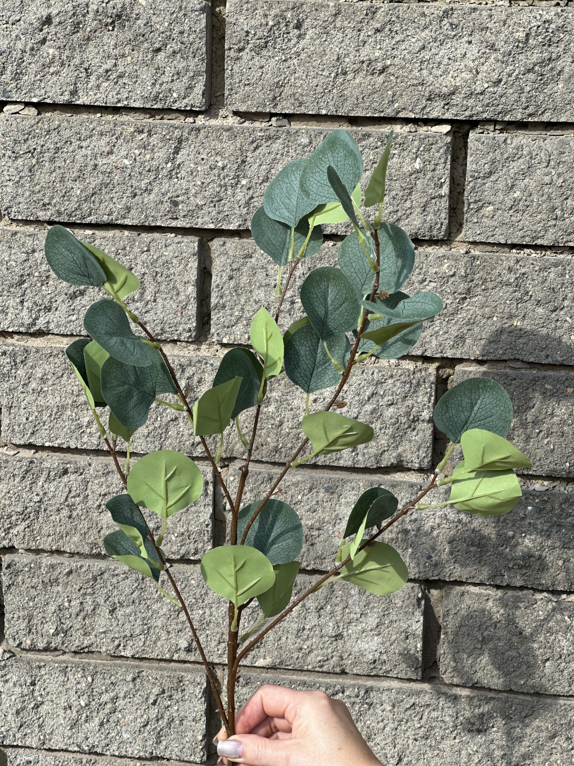 product_38c30ce249551c034a6ea502ff849845