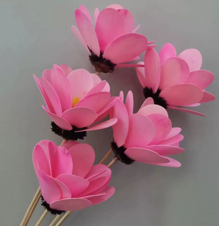 product_3a4b0d1f260a06f52914e6081b8eaba9