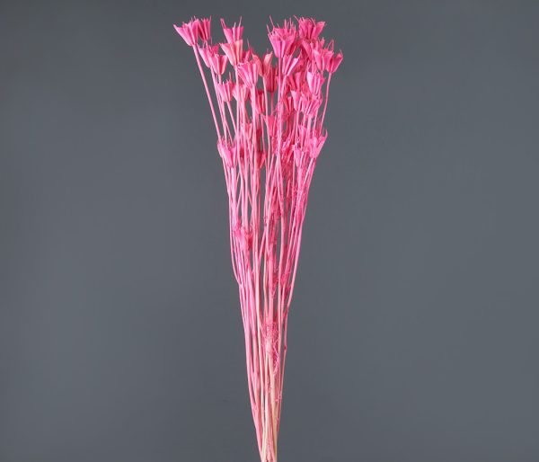 product_3e4840f5f691866c603a7f95de9a1f96