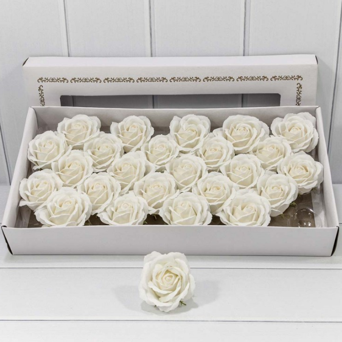 product_41d2d95cd6733c8edd55847a8cab1efb