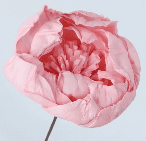 product_4304623a334f76745a15818d8bea1675