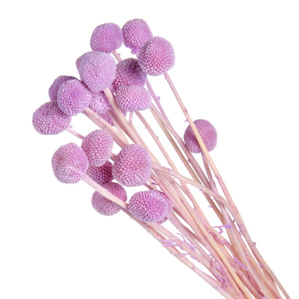 product_45f2ec889d1513b4b14887296b930c3c