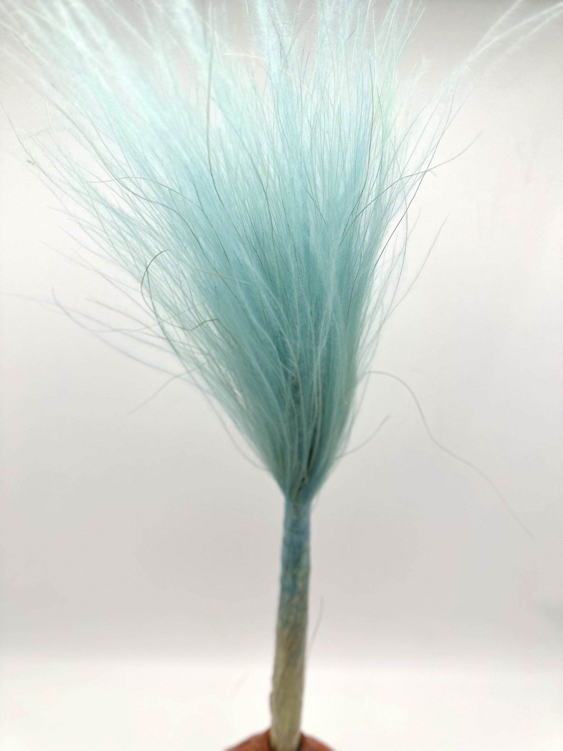 product_461f4eb6b976f476ae0728e8510f3a8f