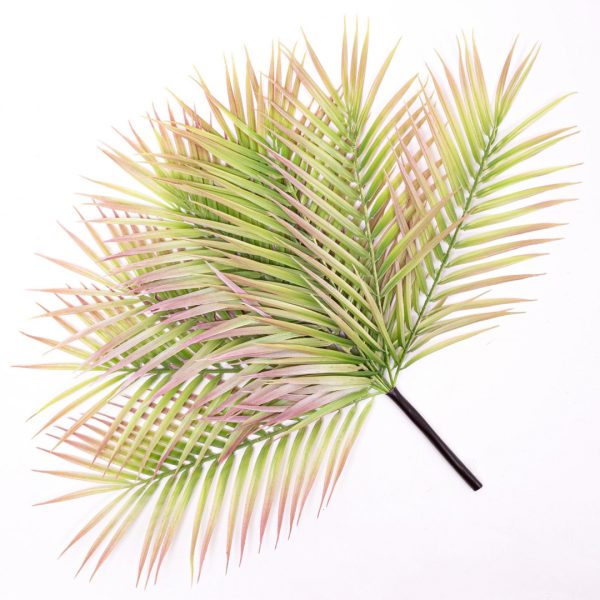 product_47193446ac3a85de4544e82859519518