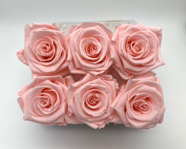 product_48b071c61c286d49fdc98338eec1fb20