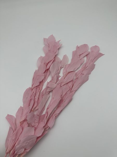 product_49bfe381ad92972c63431e4c92377288