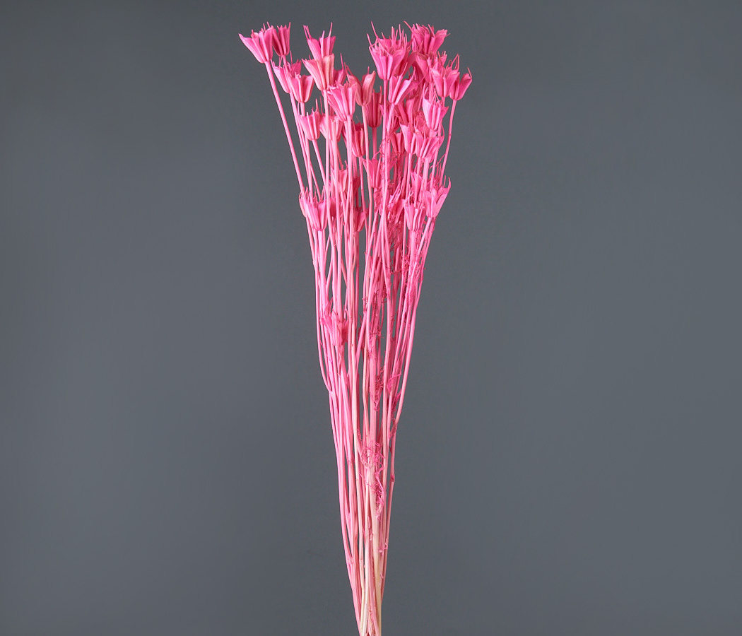 product_4d35f09da13c1e5ed2f1994d0f83d573