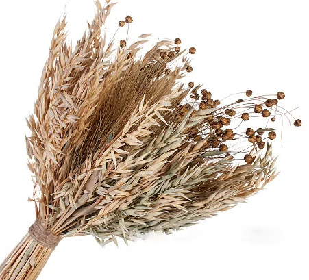 product_4e927e3659d1962973347e11d491ebf1