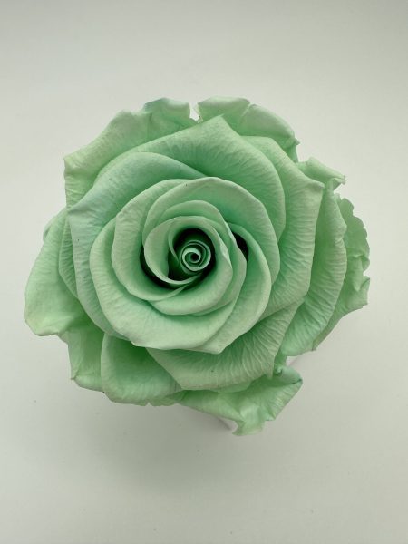 product_4edfc6d1597b9246a42154ab275fc7b7