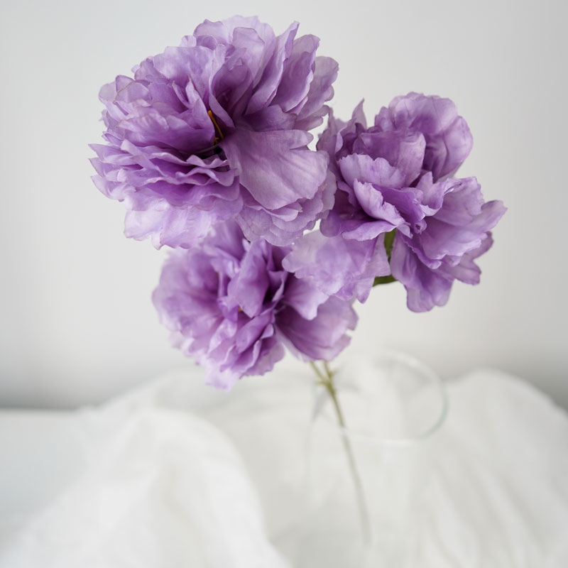 product_4fc298052cd1c13e3bb4a50ea93fb68f