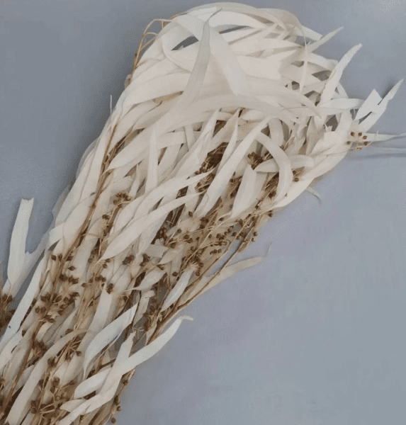 product_58b53f707388825e966c018679da62e1