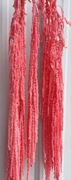 product_5b4f8fba5c1b77b63ff79506b8a0e644