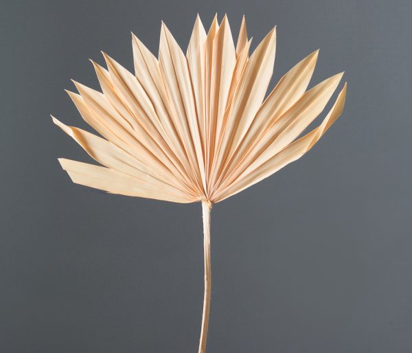 product_5c451f8e50dc0bb8f506fc4c77d2a4b1