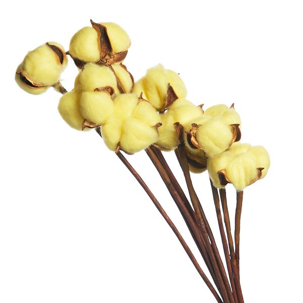 product_5ce9ff067d7b826f719a168d181fa62b