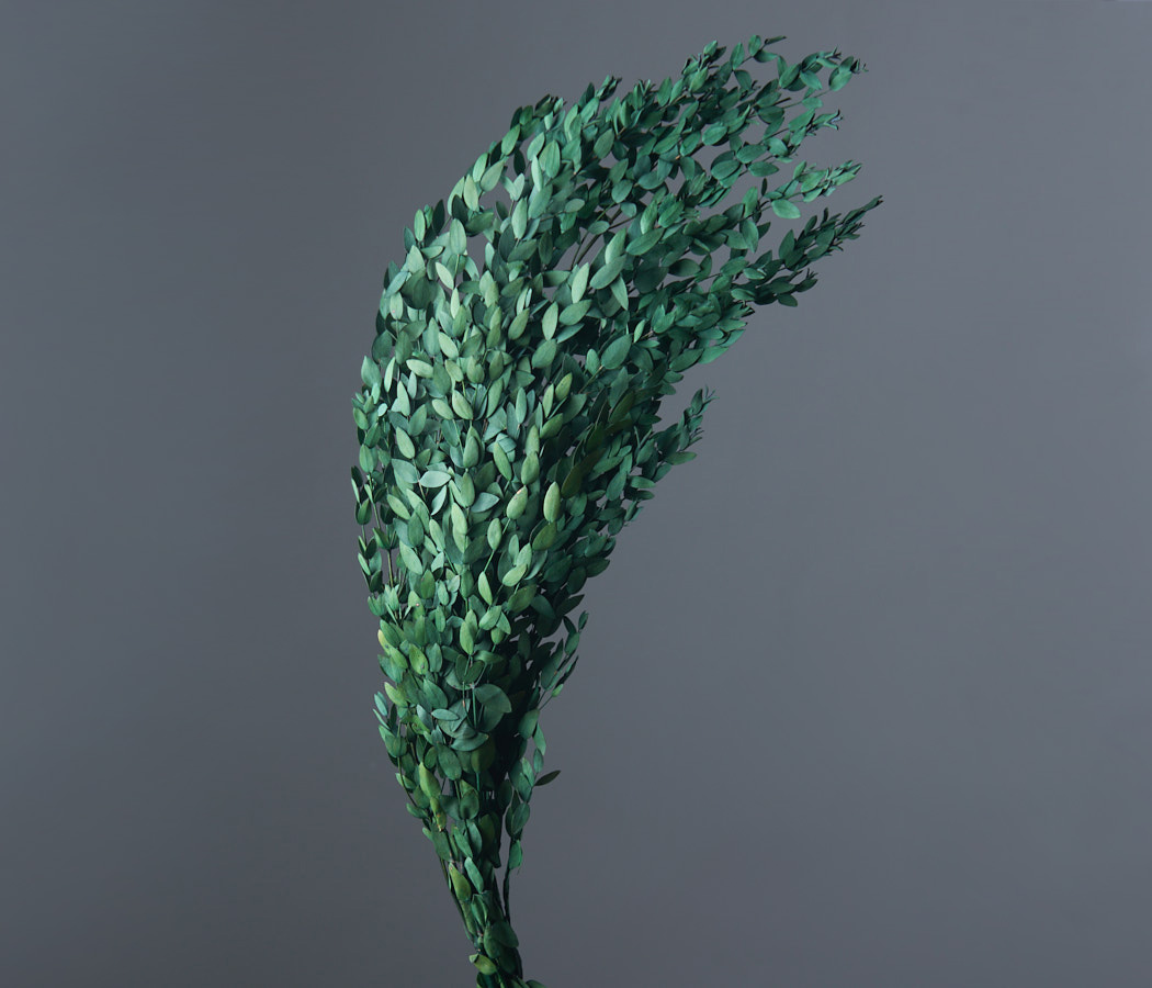 product_61df9b2768bf6bd958c3ca76e85b1552