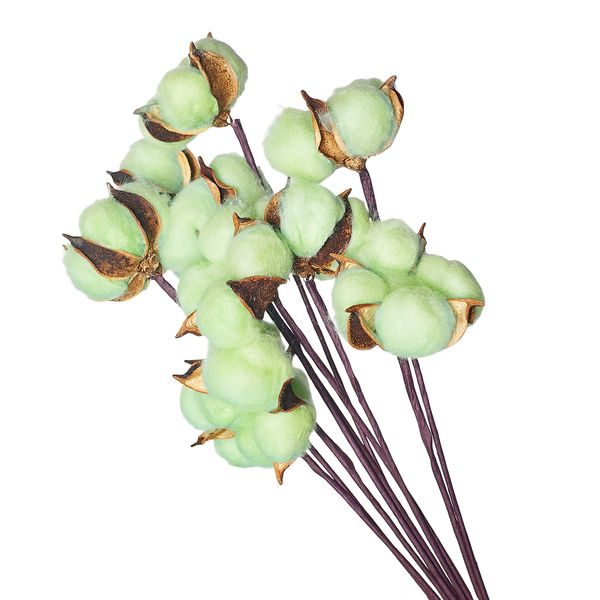 product_6213fb3bfc424ac94db1cfc82cb02513