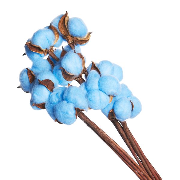 product_65382aa5d6286a3071335beb520dbc69