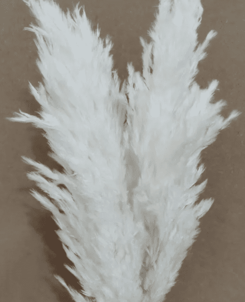 product_65f52fae499165d82fde00066ac34798