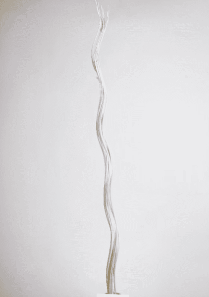 product_668fcd2dd860d75a1007563ef636741b