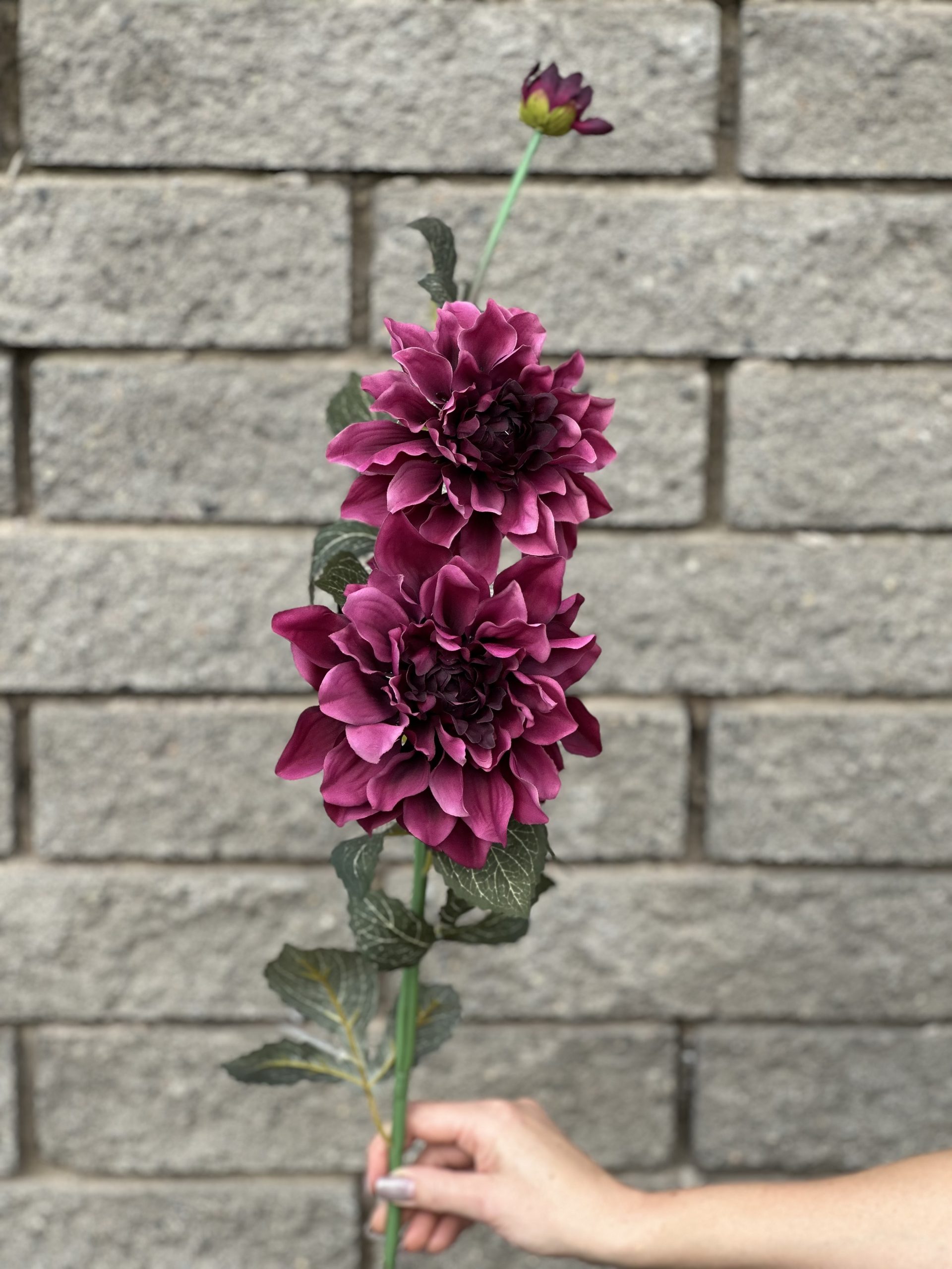 product_6e2d4b2556e39c03d4c9fb0effa0c38b