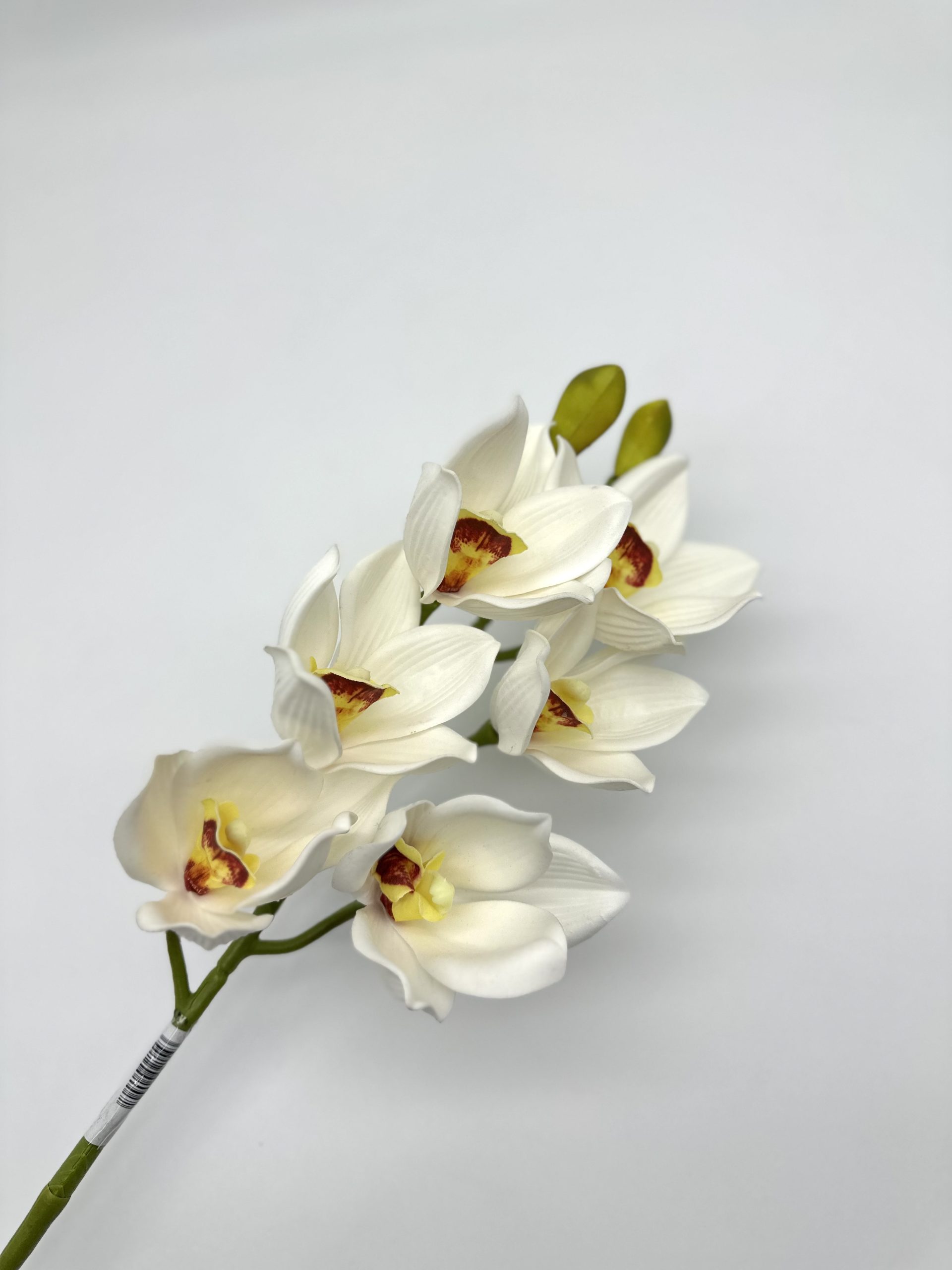 product_6fa5901a4b0d546c5f6a062b57696921