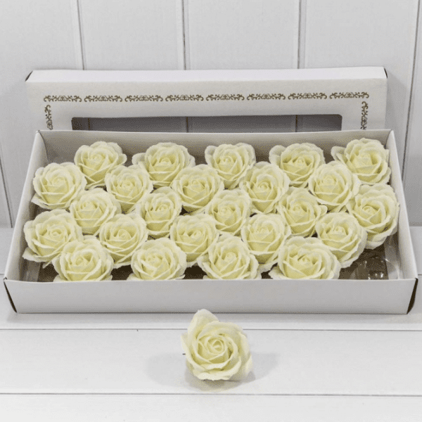 product_72b06469cb0f220a3d05b86c58a50f22